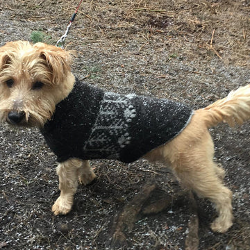 Walkies Sweater
