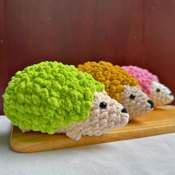 Chubby Hedgehog