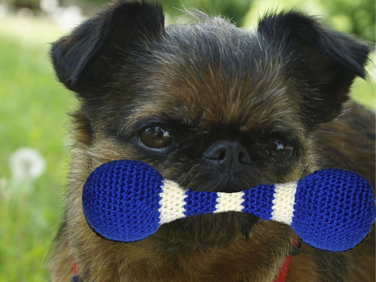 Häkelanleitung Hundespielzeug "Wurfkeule" ♥