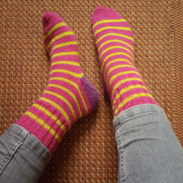 Bunch of Socks 2022