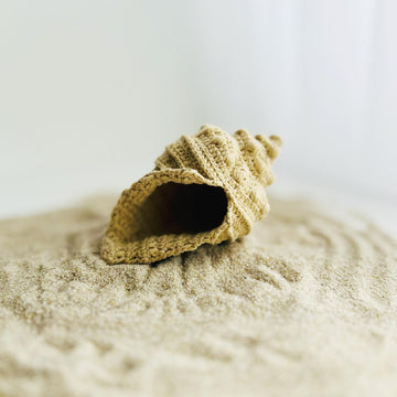 Crochet seashell, amigurumi shell, Seashells collection