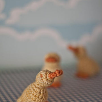 Little Yellow Duck