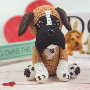 Boomer the Boxer
