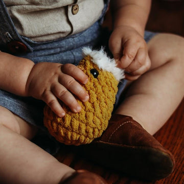 Hatcher the Hatching Chick