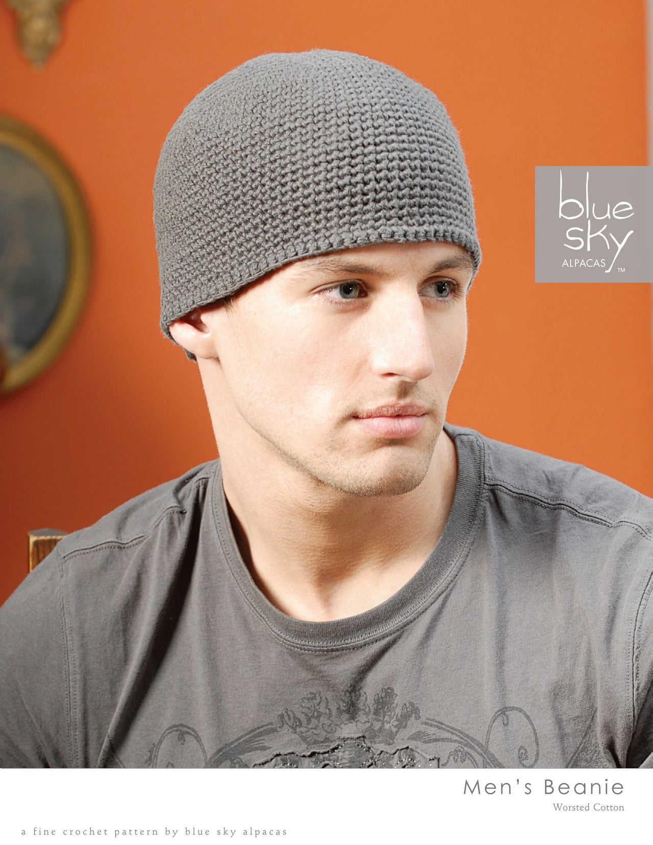 Blue Sky Fibers Men's Beanie