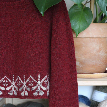 Carcade pulli
