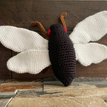 Periodic Cicada