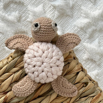 Sea turtle Olivia