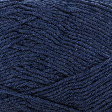Navy (230)