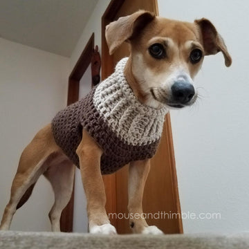 Earhart Dog Sweater UK TERMS 1214