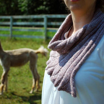 Seashell Cowl