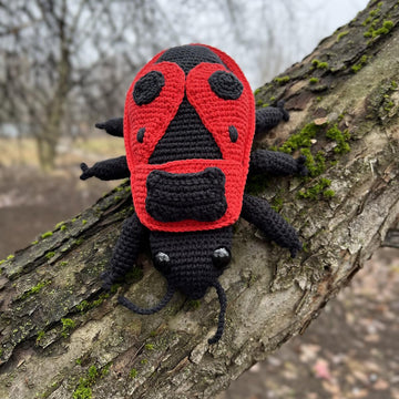 Red Firebug