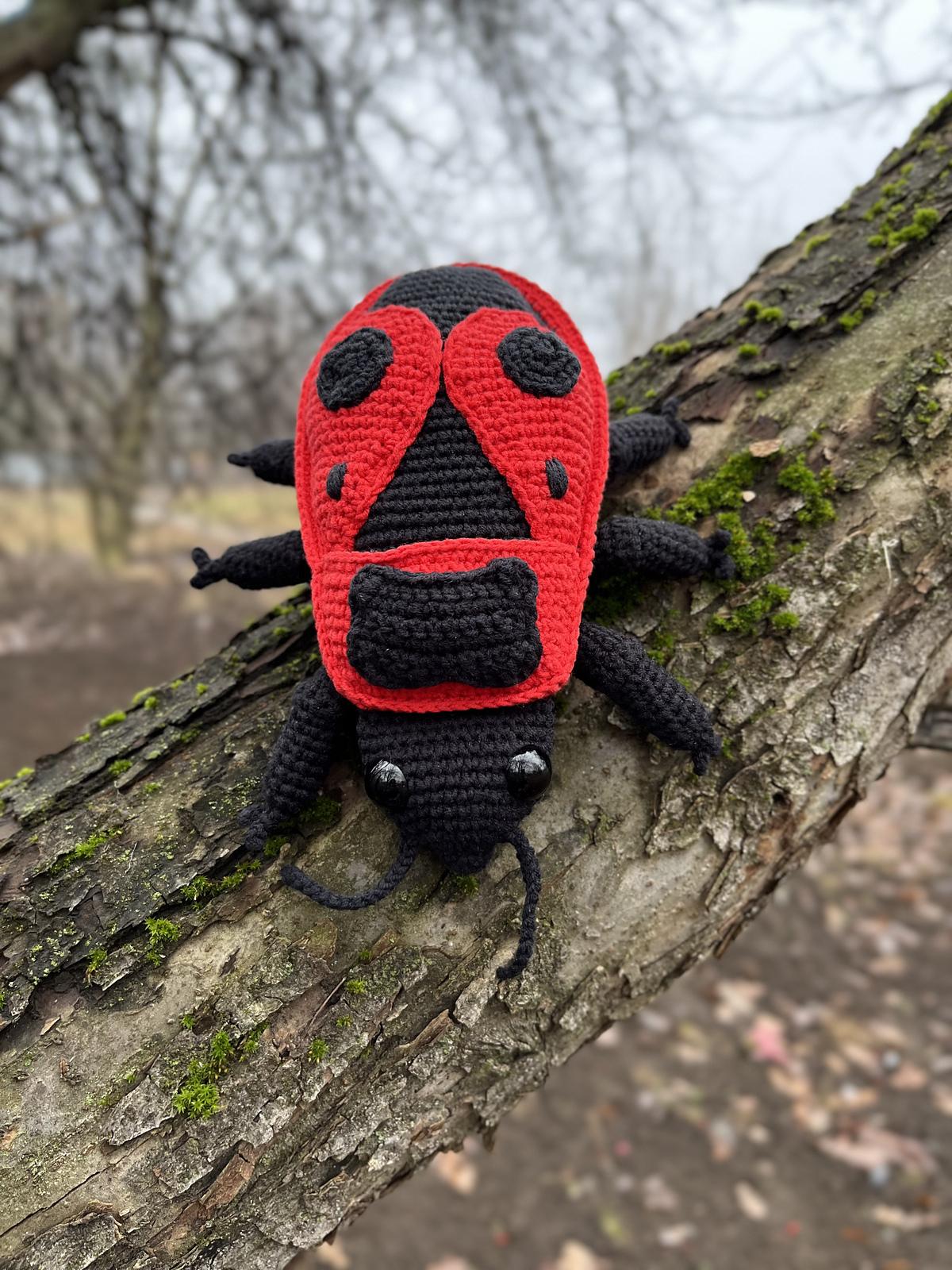 Red Firebug