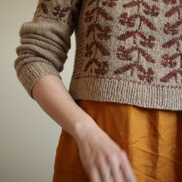 Pictus pullover