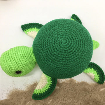 Timmy the Turtle