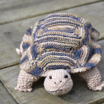 Tortoise