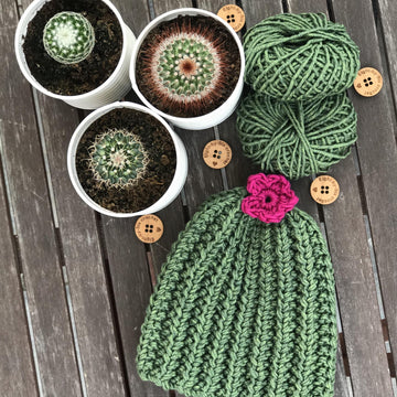 Crazy Cactus Tea Cosy