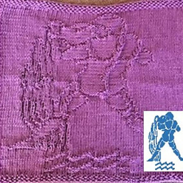 Nr. 533 Zodiac Aquarius 89 stitches