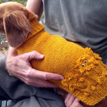 Looney Lions Doxie Sweater