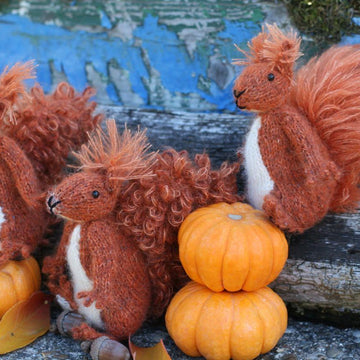 Red Squirrel Sisters