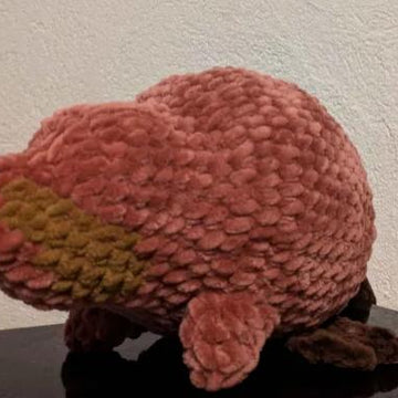 Beaver