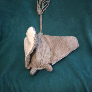 Stingray (Manta Ray)