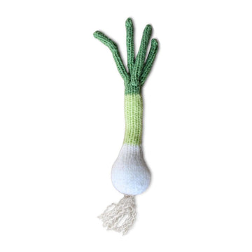 Spring Onion