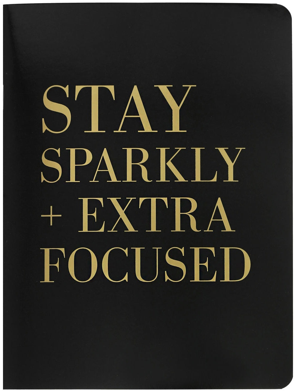 Teresa Collins Designer Notebook 6"X8" - Stay Sparkly
