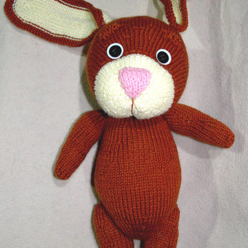 Brownie the sweet bunny