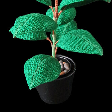 Crochet Rubber plant/Fig leaf