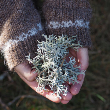 Hazy Shade of Winter Sweater