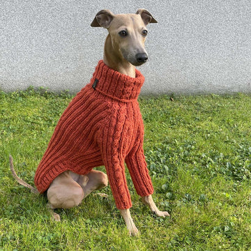 Dog Sweater ACRI CABLE