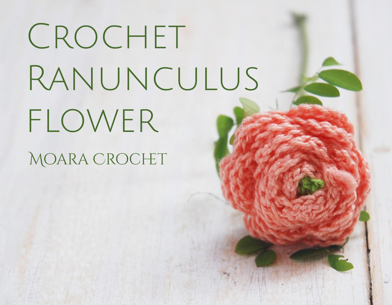 Ranunculus Flower