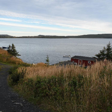 Gunners Cove