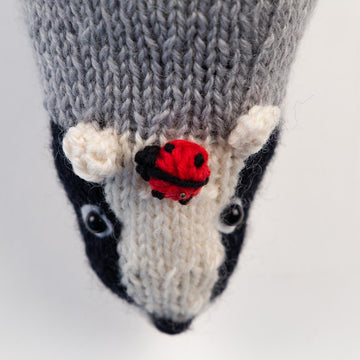 Quirky Badgers