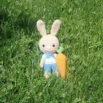 Bradley Bunny