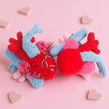 Anatomical Heart