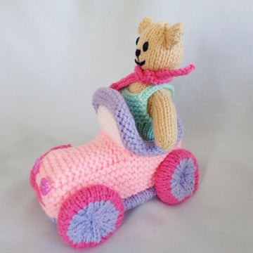 Teddy and Car