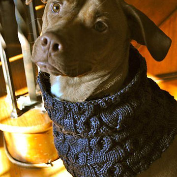 Mariposa Cowl