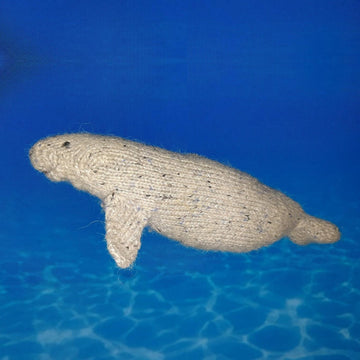 Manatee