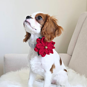 Poinsettia Crochet Dog Collar Flower