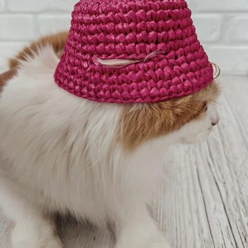 Pets bucket hat