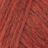 Terracotta Blush
