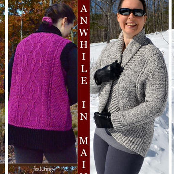 Meanwhile in Maine eBook