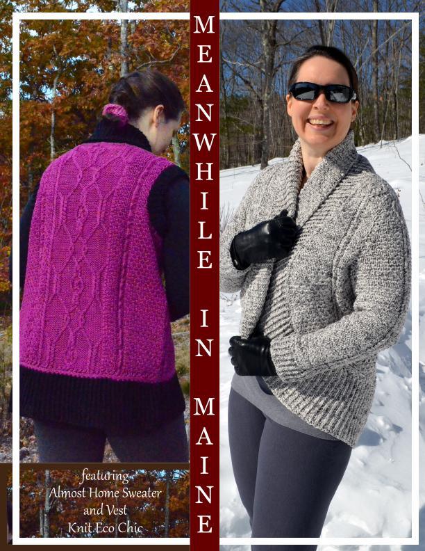 Meanwhile in Maine eBook
