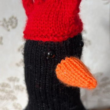 Feathers McGraw