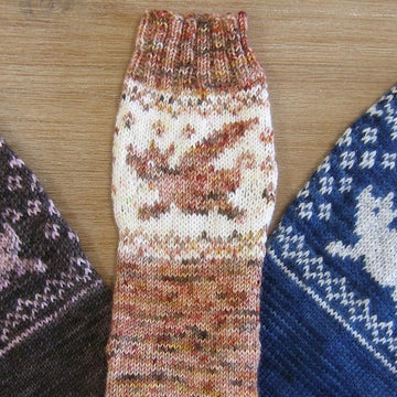 Pigasus Socks