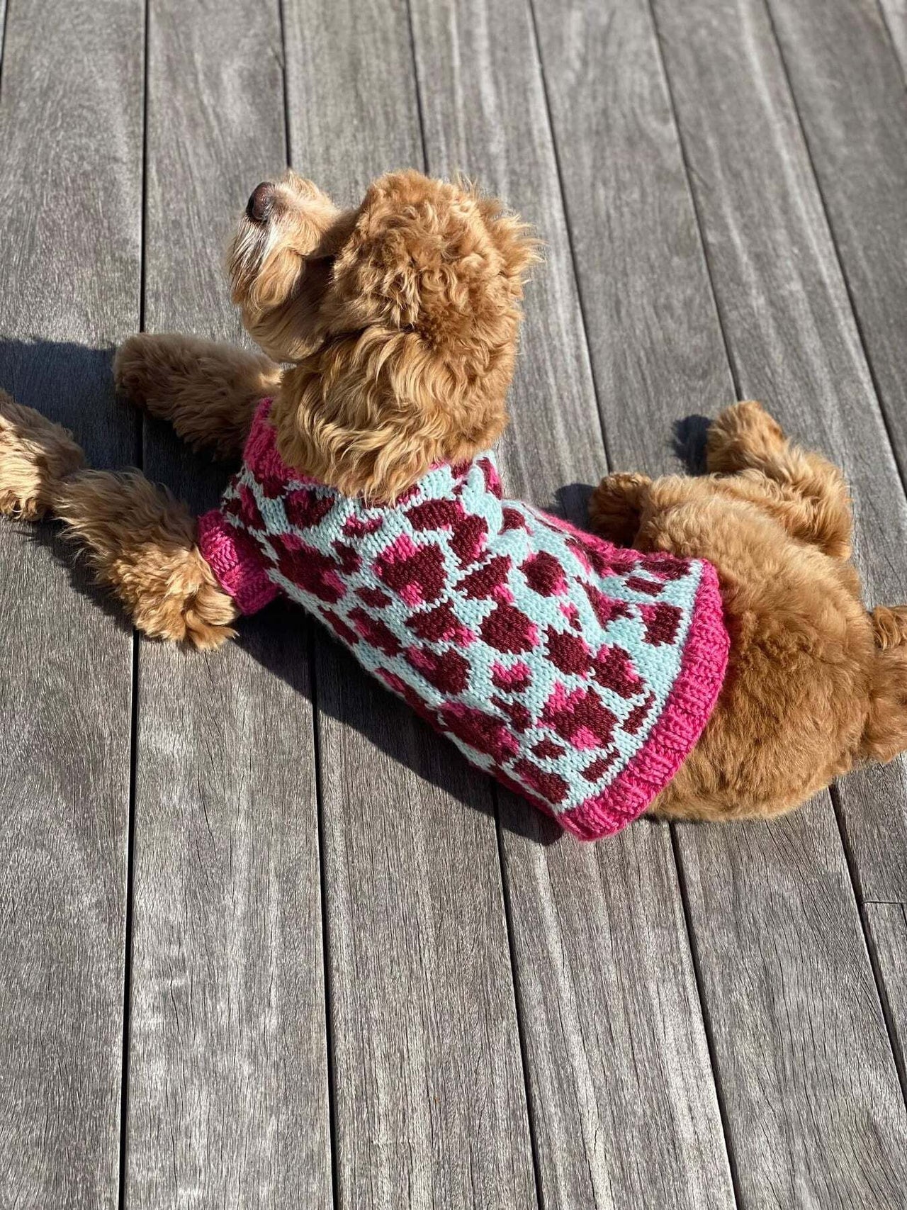 Vibrant Leopard Dog Sweater in Lion Brand Basic Stitch Anti-Pilling Yarn - M21105 BSAP - Downloadable PDF