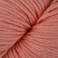Apricot (625)