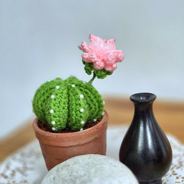 Cactus plant with flower